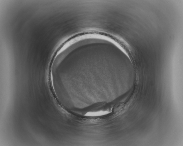 X0000111021279200907310924
