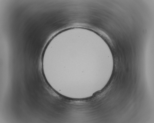 X0000111021280200907310924