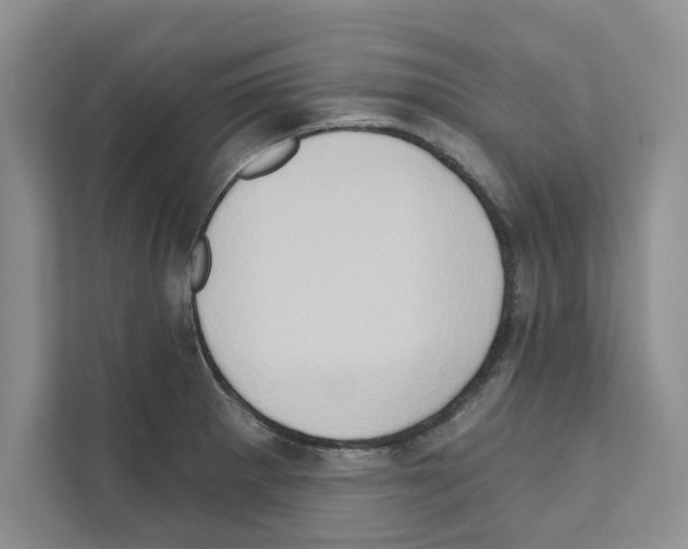 X0000111021281200907310924