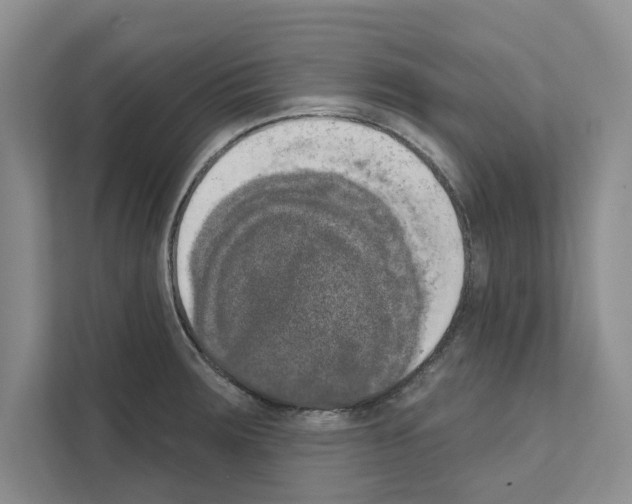 X0000111021283200907310924