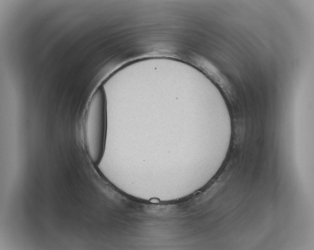 X0000111021284200907310924