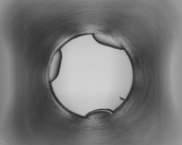 X0000111021285200907310924