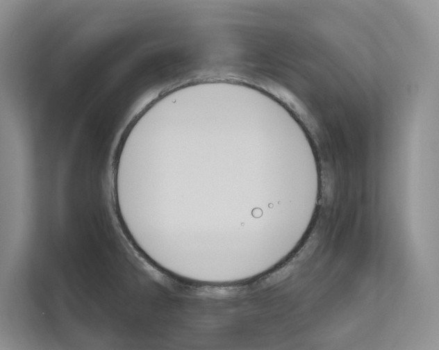X0000111021286200907310924