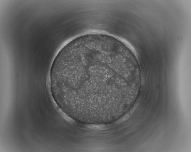 X0000111021287200907310924
