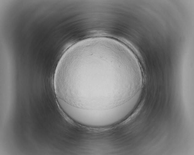 X0000111021289200907310924