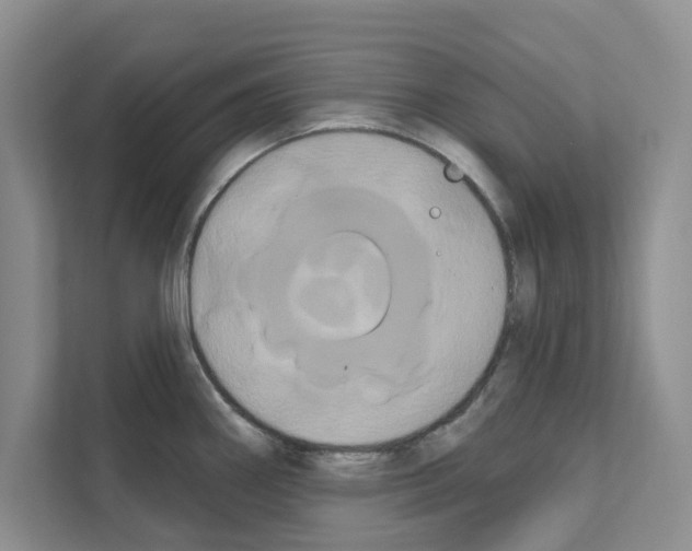 X0000111021290200907310924