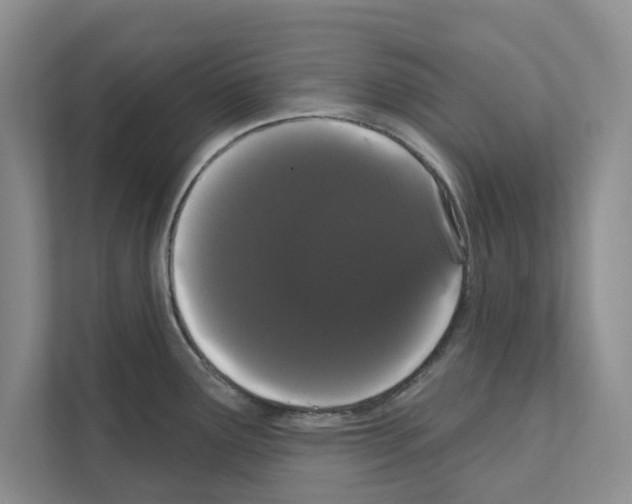 X0000111021291200907310924
