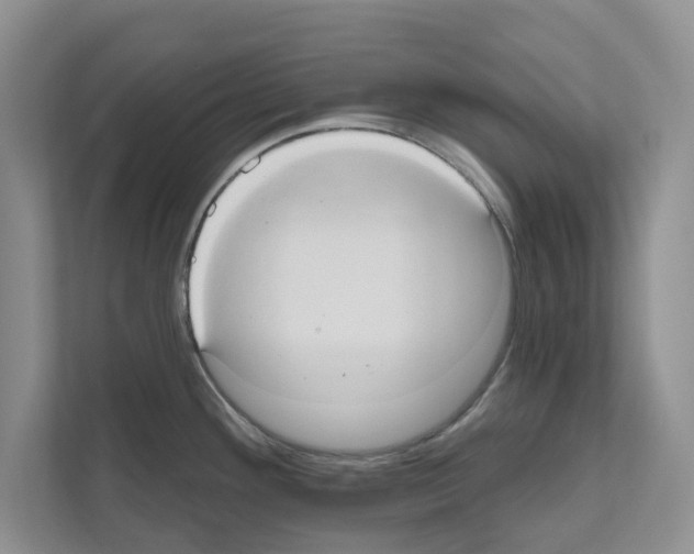 X0000111021292200907310924