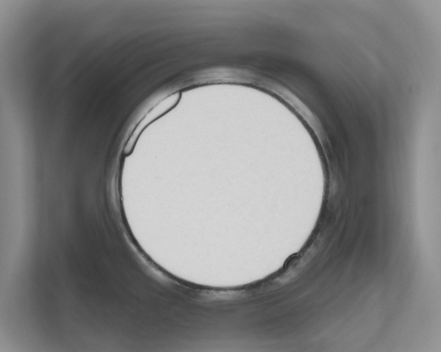 X0000111021293200907310924
