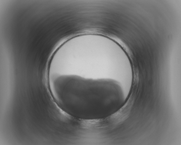 X0000111021294200907310924