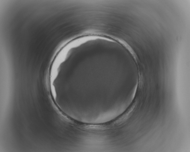 X0000111021295200907310924