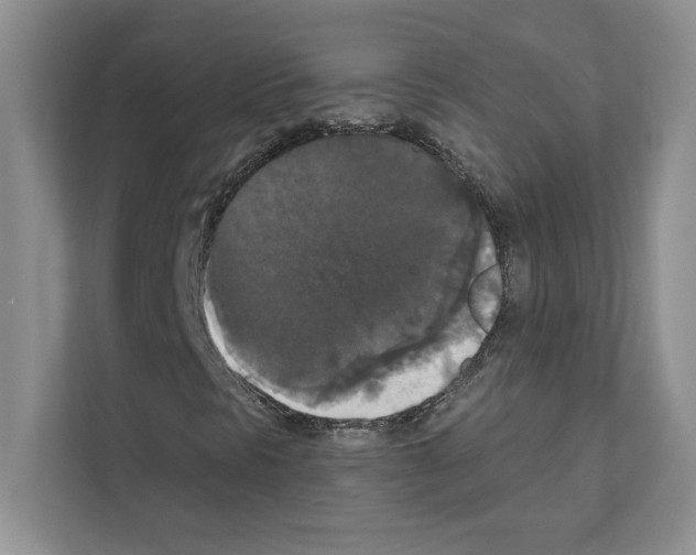 X0000111021297200907310923