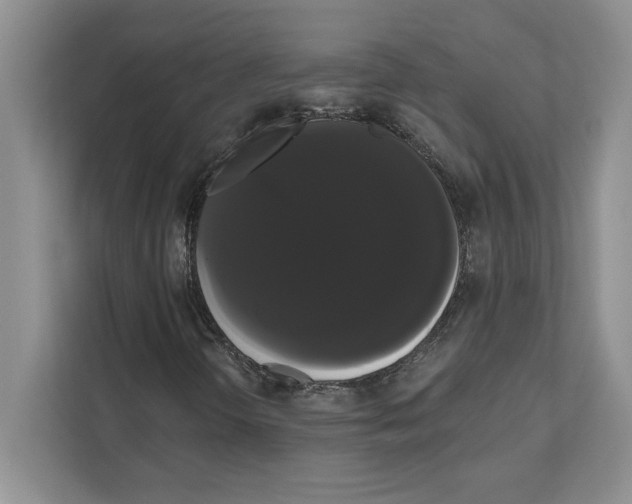 X0000111021298200907310923