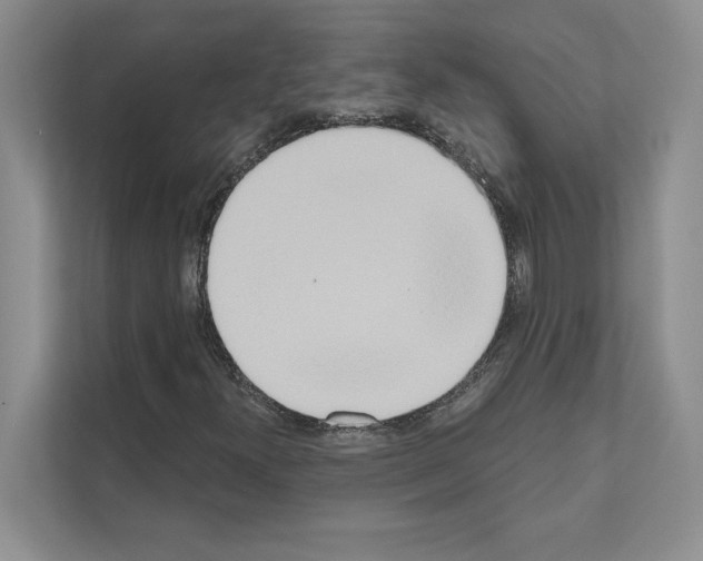 X0000111021300200907310923