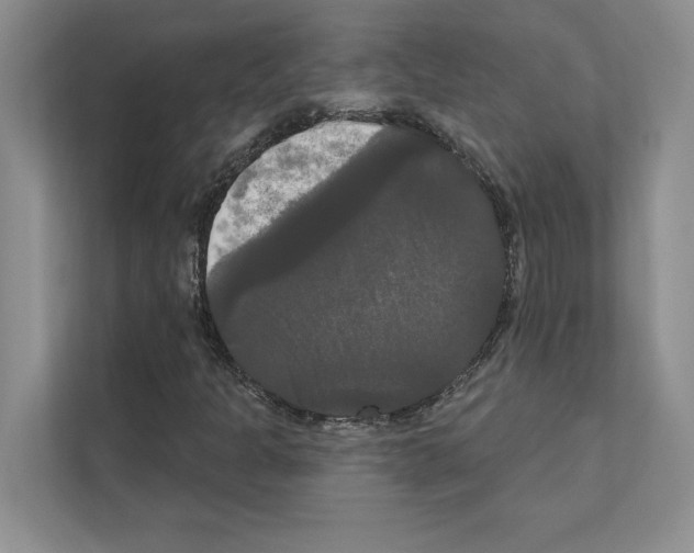 X0000111021301200907310923