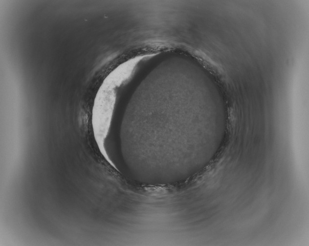 X0000111021302200907310923