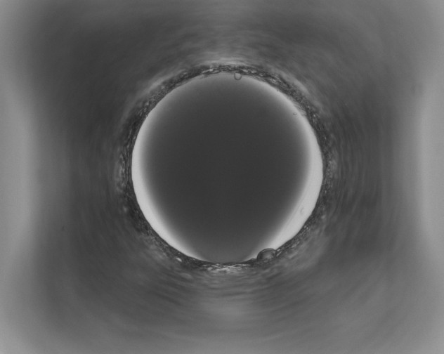 X0000111021303200907310923