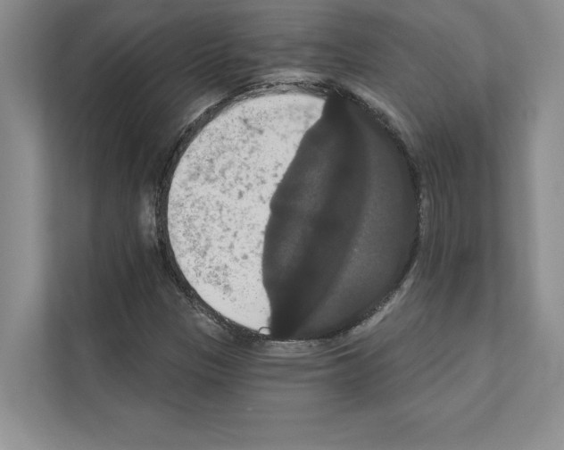 X0000111021305200907310923