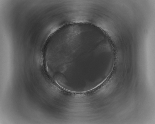 X0000111021306200907310923