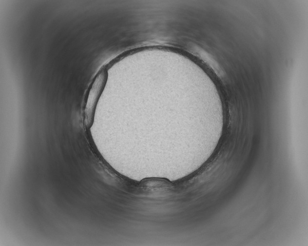 X0000111021308200907310923