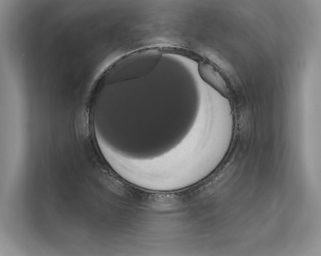 X0000111021310200907310923
