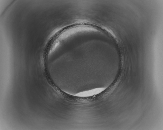 X0000111021311200907310923