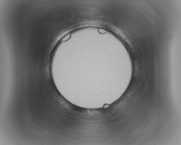 X0000111021312200907310923