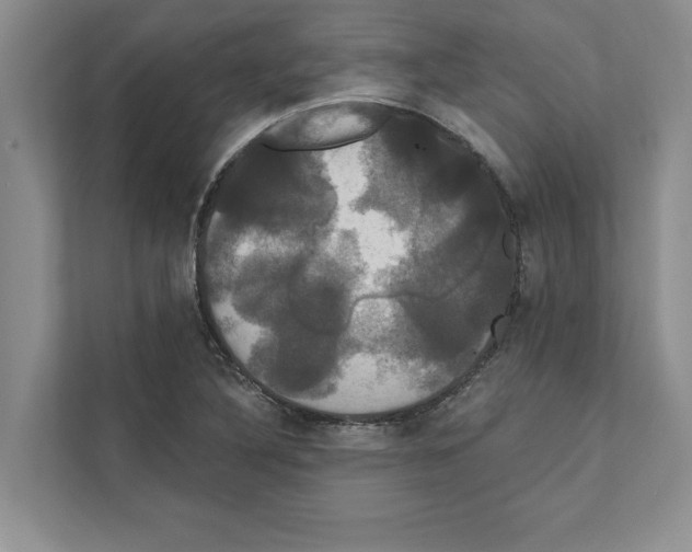 X0000111021316200907310924