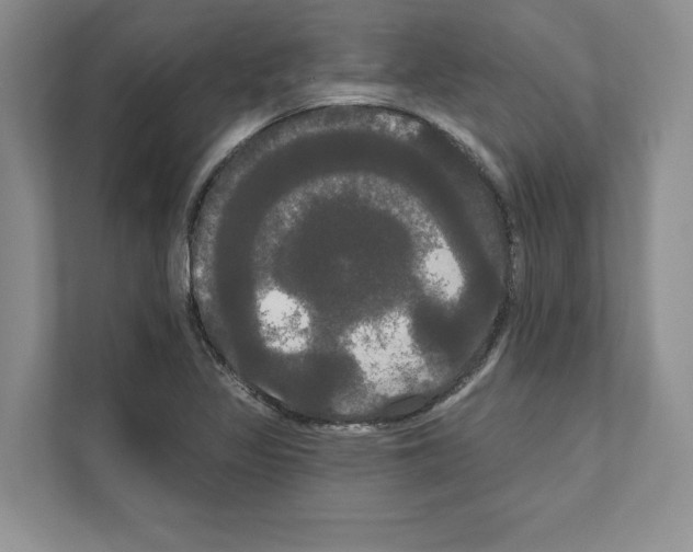 X0000111021317200907310924