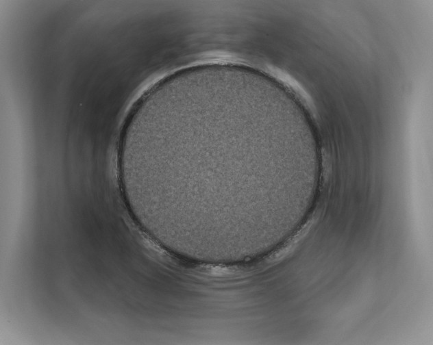 X0000111021318200907310924