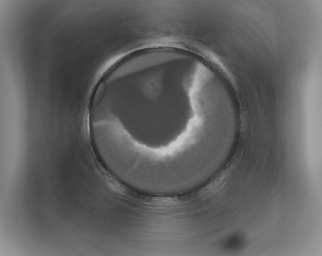 X0000111021320200907310924