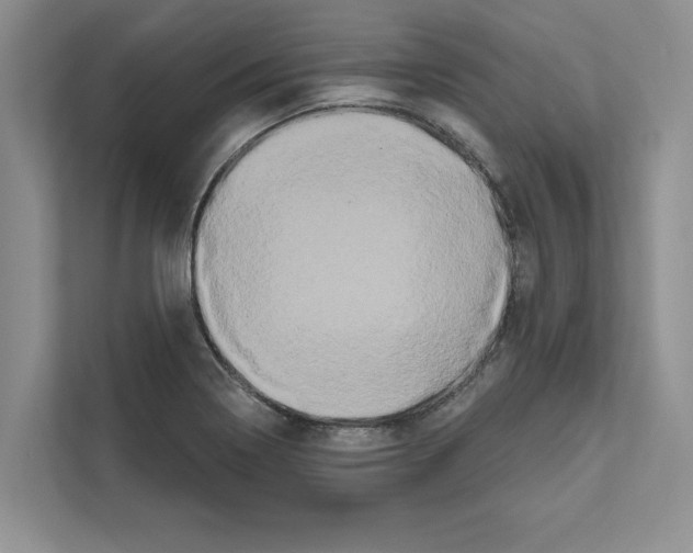 X0000111021322200907310924
