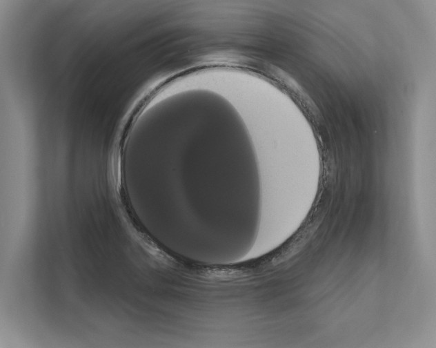 X0000111021323200907310924