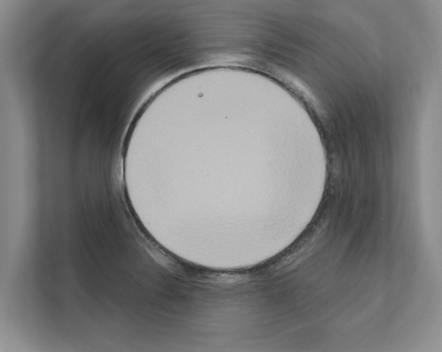 X0000111021324200907310924
