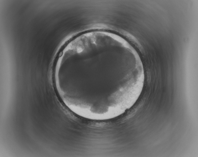 X0000111021326200907310924