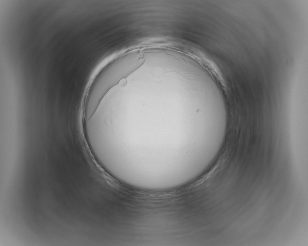 X0000111021328200907310924