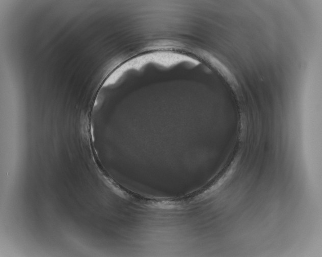 X0000111021329200907310924