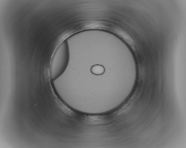 X0000111021330200907310924