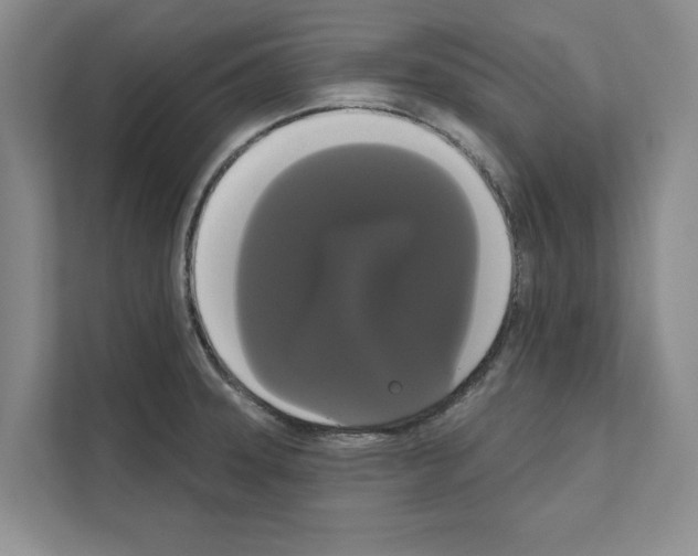 X0000111021331200907310924