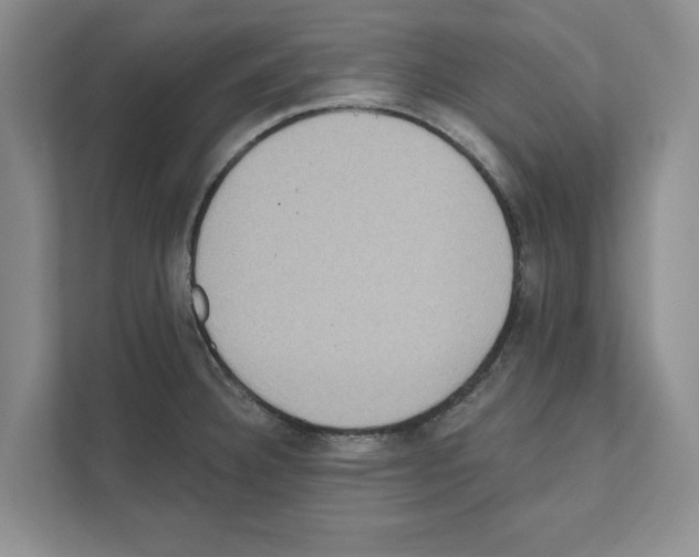 X0000111021332200907310924