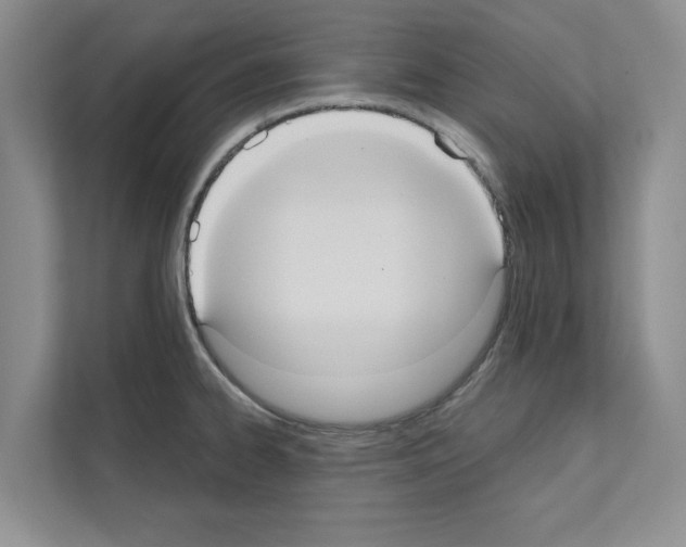 X0000111021334200907310924