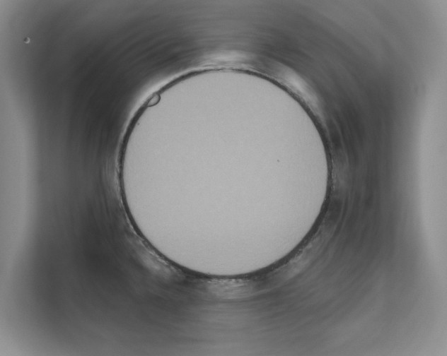 X0000111021336200907310924