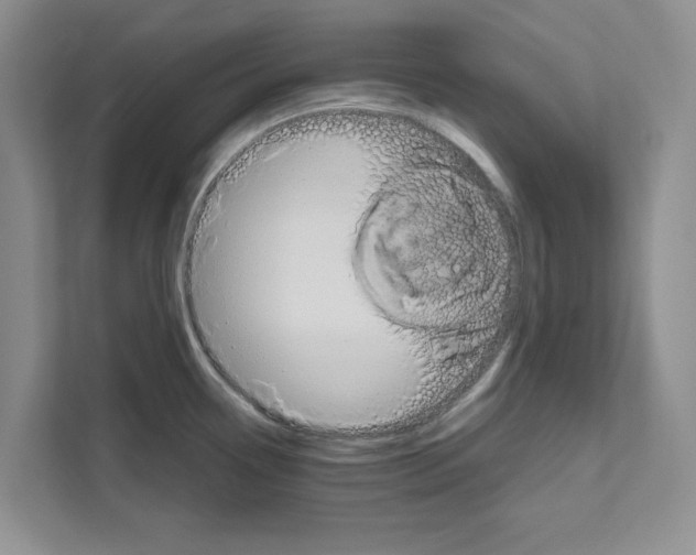 X0000111021338200907310924