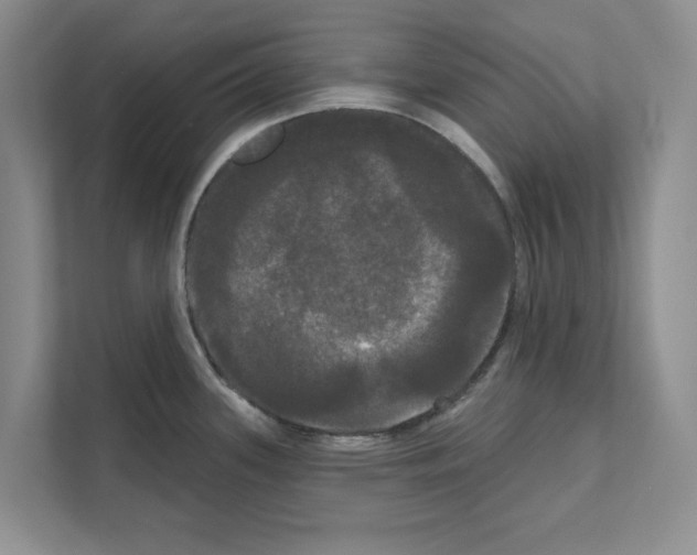 X0000111021339200907310924