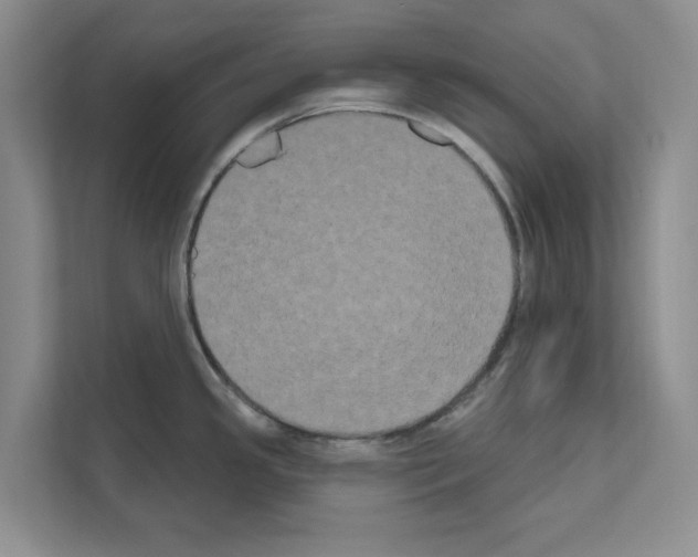 X0000111021341200907310924