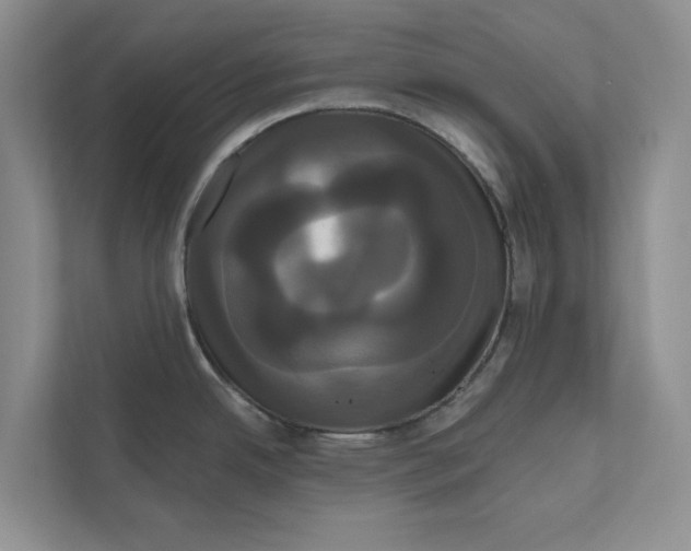 X0000111021342200907310924