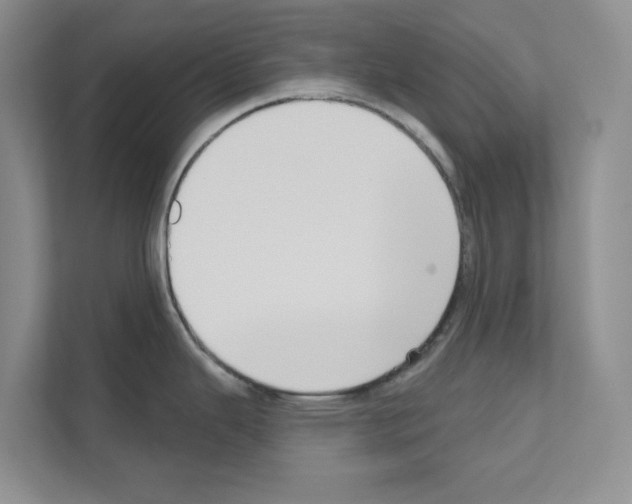 X0000111021343200907310924