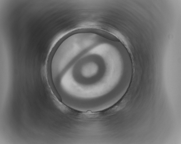 X0000111021344200907310924