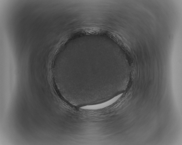 X0000111021345200907310923