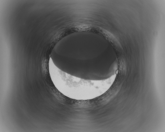 X0000111021346200907310923